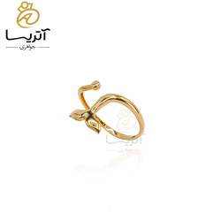 انگشتر دم وال (an1401)