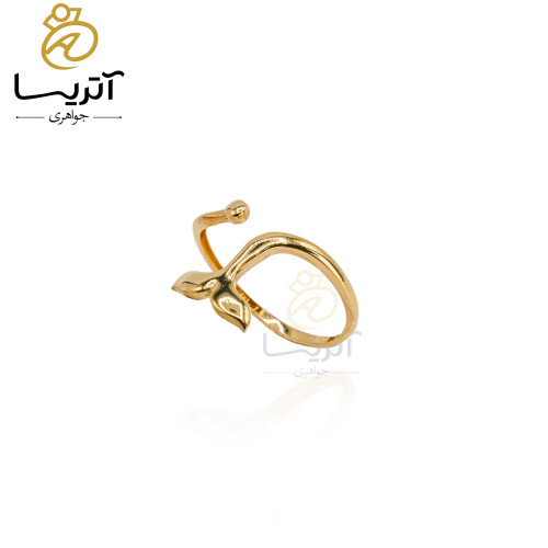 خرید انگشتر طلا دم وال